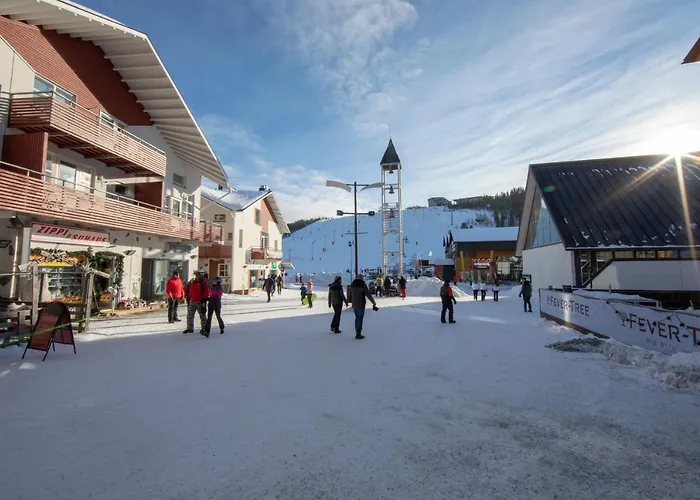 Ski Center Alpine Houses