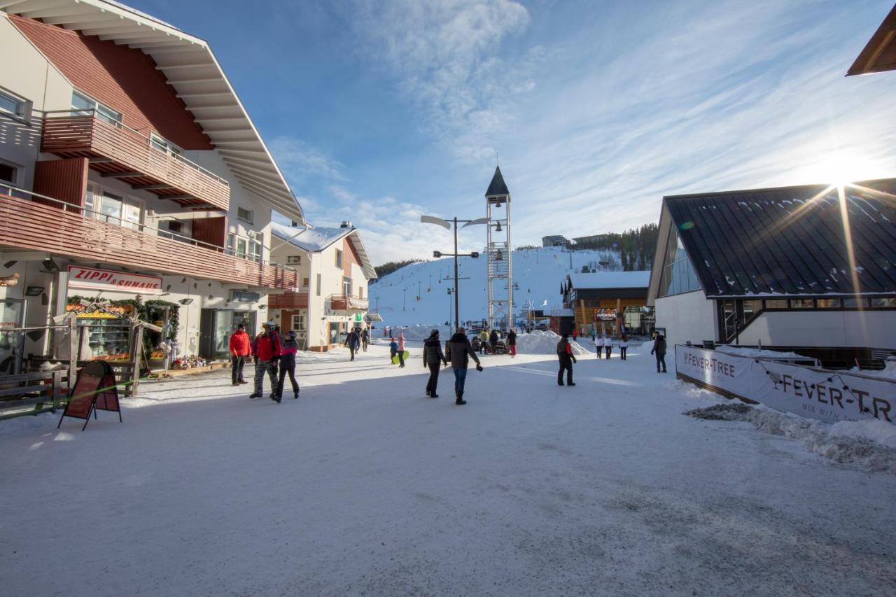 Center Alpine *
